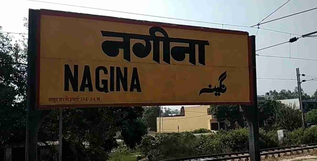 नगीना शहर की जानकारी - Nagina City Overview